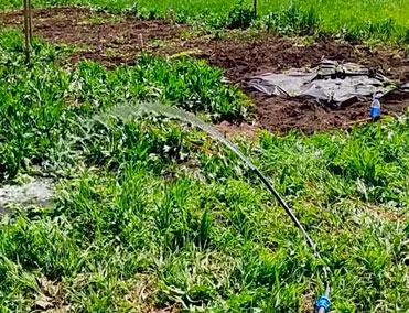 д. Иневка Абиссинская сважина глубиной - 7,5 метров